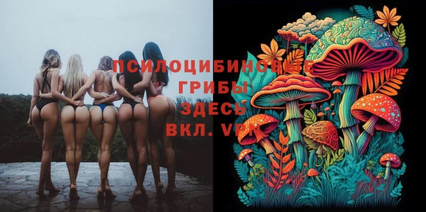 гидропоника Алексин