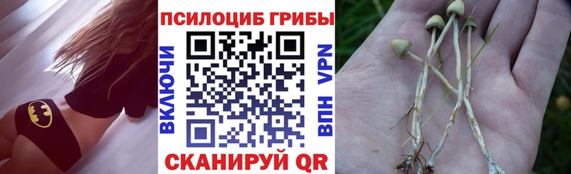 Псилоцибиновые грибы GOLDEN TEACHER  где продают   Комсомольск 